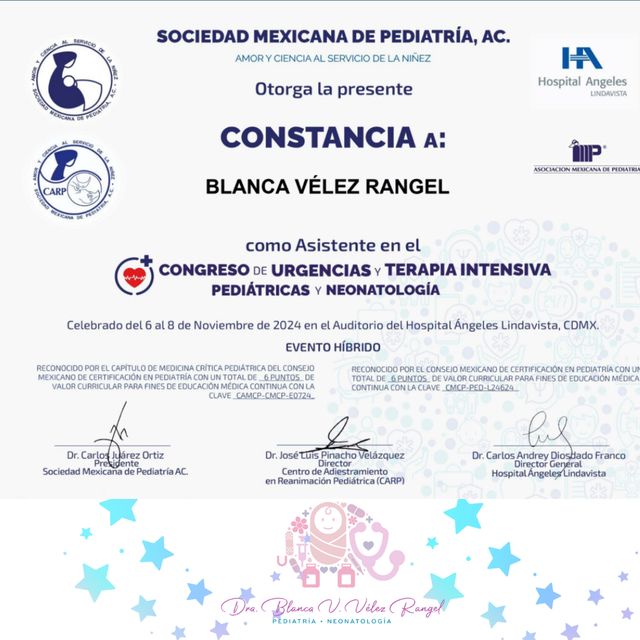 Ampliar imagen: certificate 7