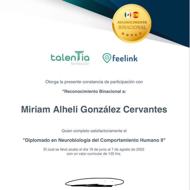 Ampliar imagen: certificate 8