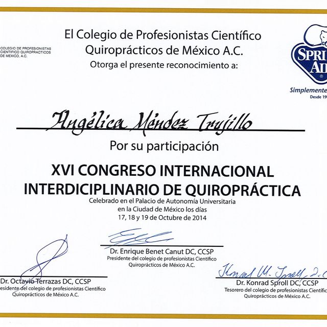 Ampliar imagen: certificate 25