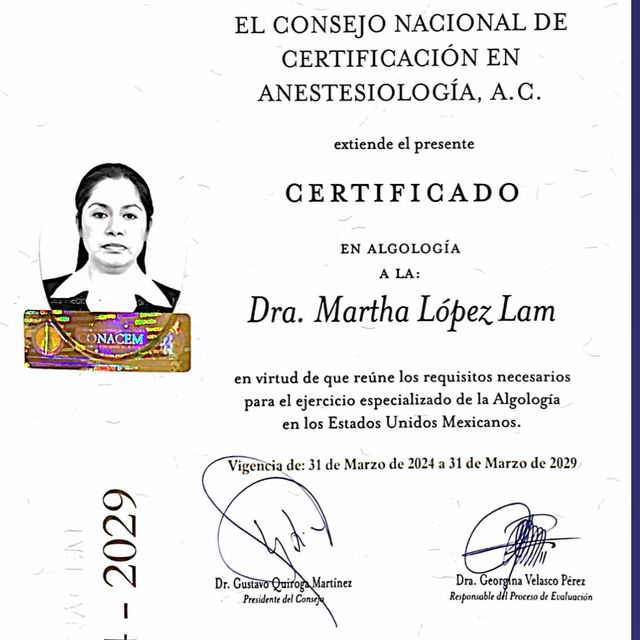 Ampliar imagen: certificate 2