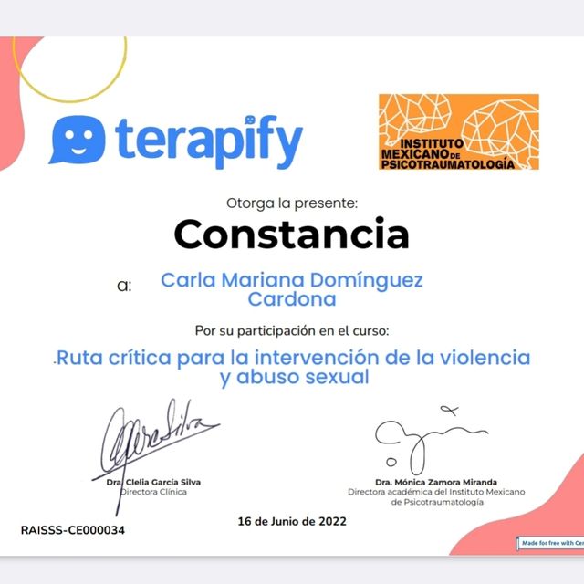 Ampliar imagen: certificate 1