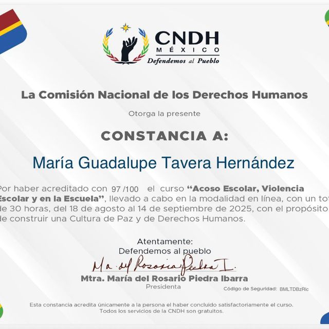 Ampliar imagen: certificate 2