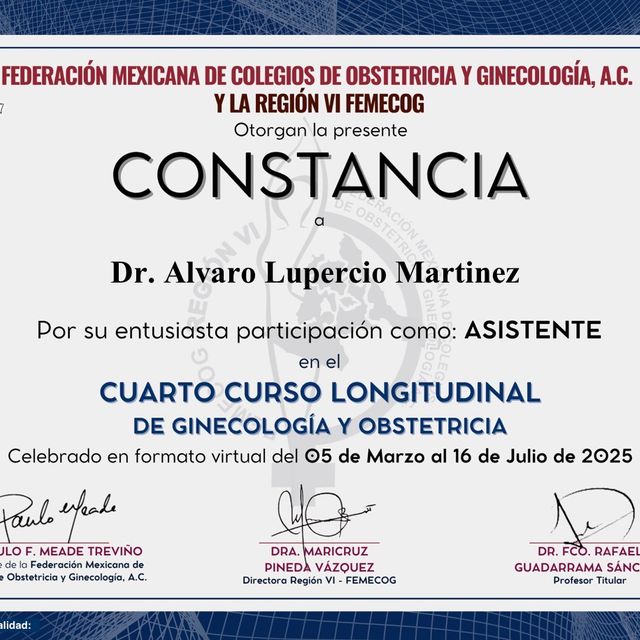 Ampliar imagen: certificate 28