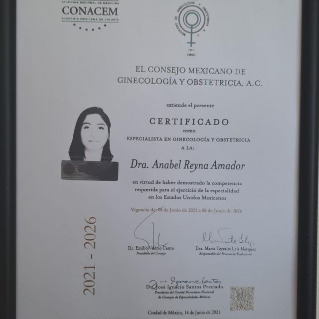 Ampliar imagen: certificate 4