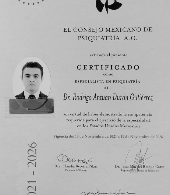 Ampliar imagen: certificate 1