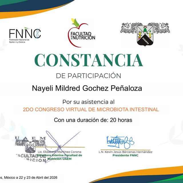Ampliar imagen: certificate 4