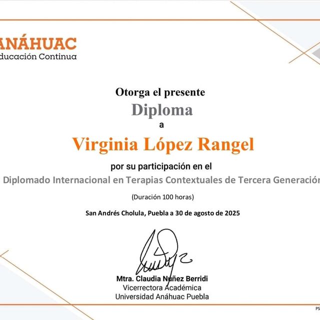Ampliar imagen: certificate 13