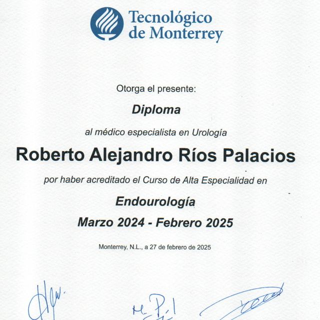 Ampliar imagen: certificate 2