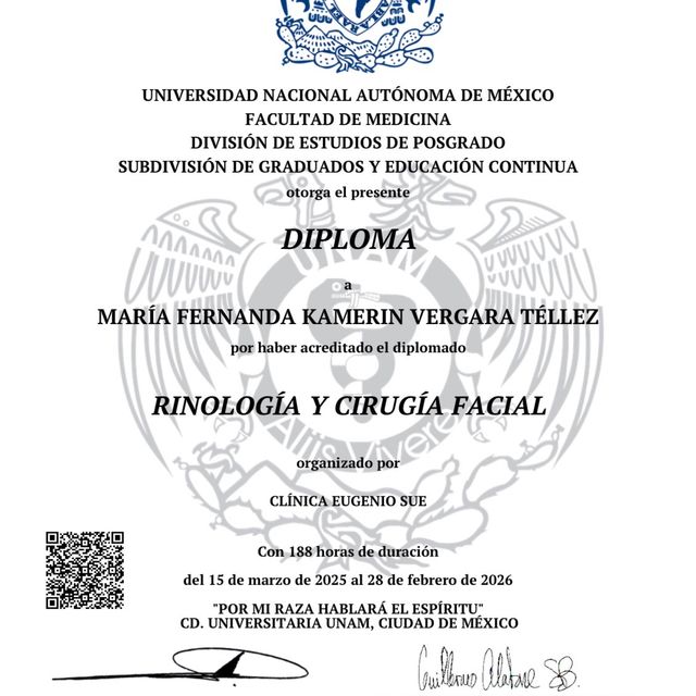 Ampliar imagen: certificate 1