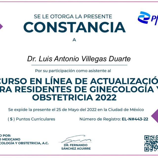 Ampliar imagen: certificate 12