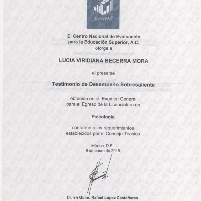 Ampliar imagen: certificate 1