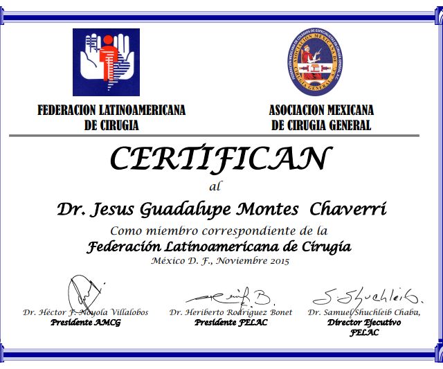 Ampliar imagen: certificate 3