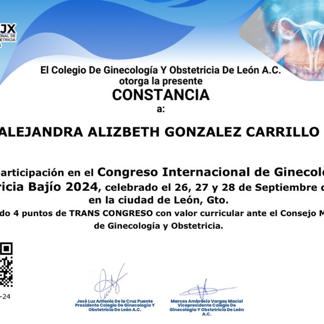 Ampliar imagen: certificate 1