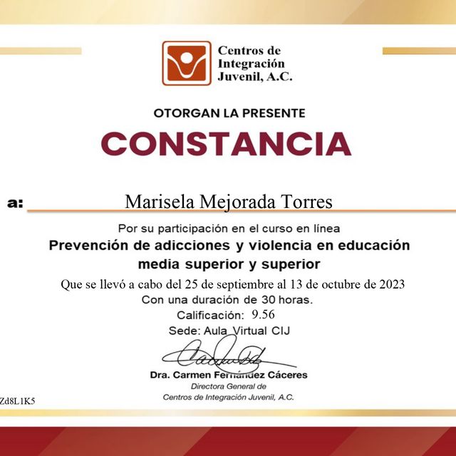 Ampliar imagen: certificate 2