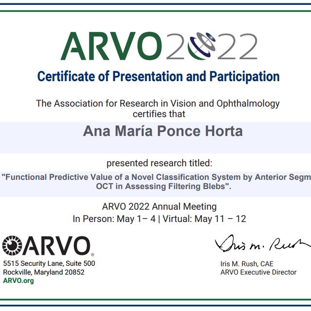 Ampliar imagen: certificate 1