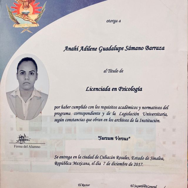 Ampliar imagen: certificate 1