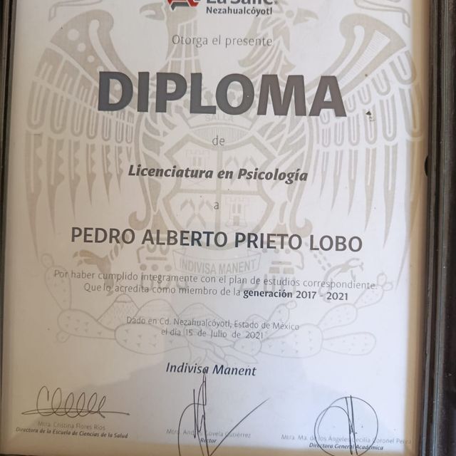Ampliar imagen: certificate 1