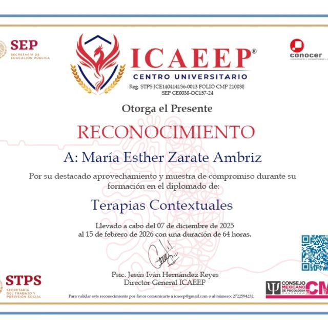 Ampliar imagen: certificate 9