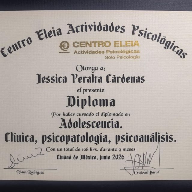 Ampliar imagen: certificate 1