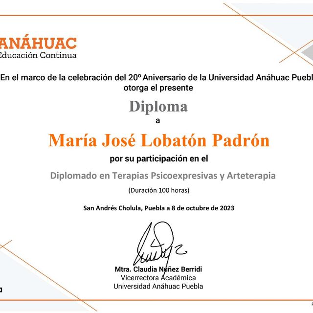 Ampliar imagen: certificate 2