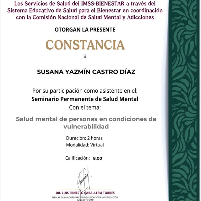 Ampliar imagen: certificate 12