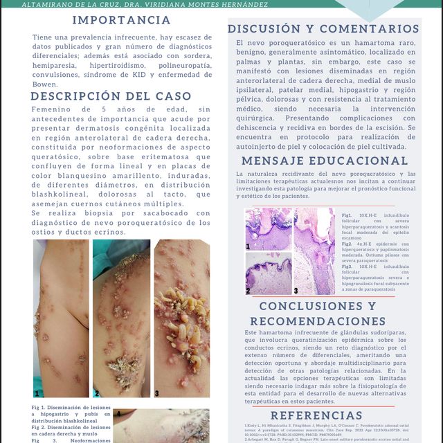 Ampliar imagen: certificate 11