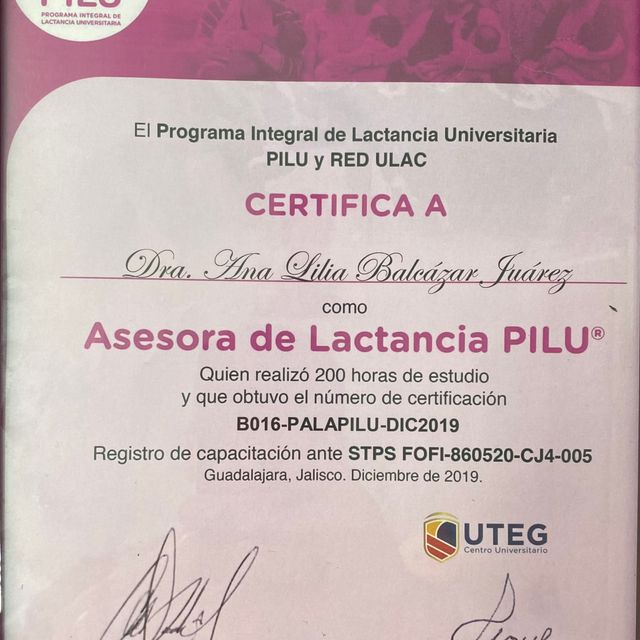 Ampliar imagen: certificate 6