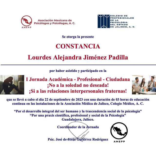 Ampliar imagen: certificate 6
