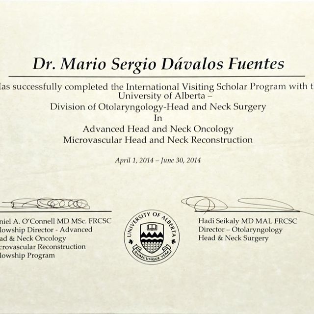 Ampliar imagen: certificate 1