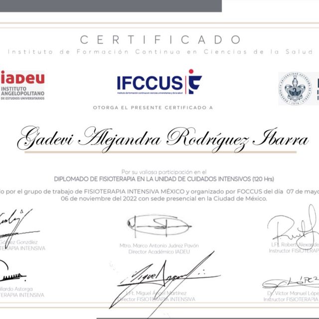 Ampliar imagen: certificate 2