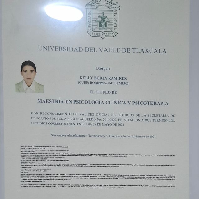 Ampliar imagen: certificate 2