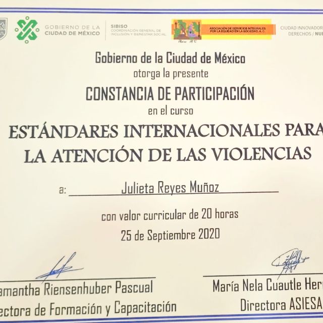 Ampliar imagen: certificate 1