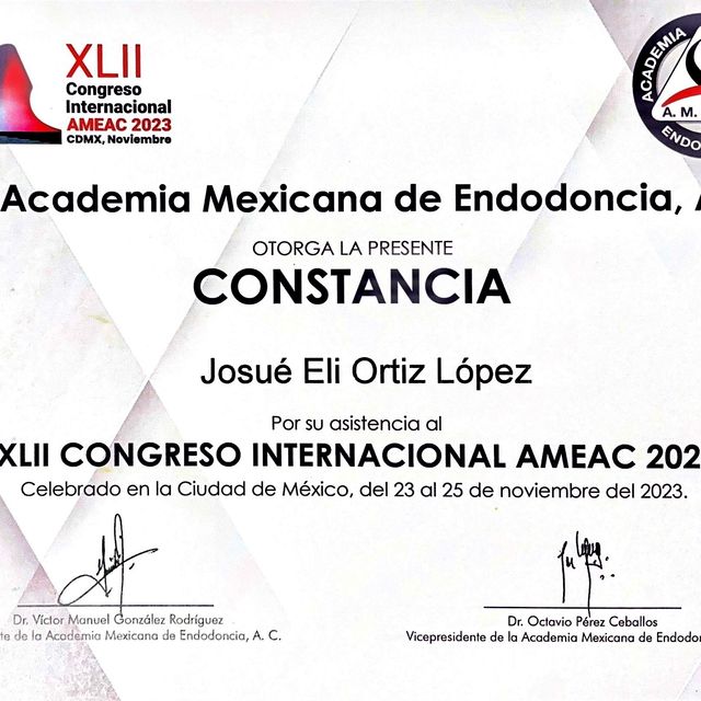 Ampliar imagen: certificate 24