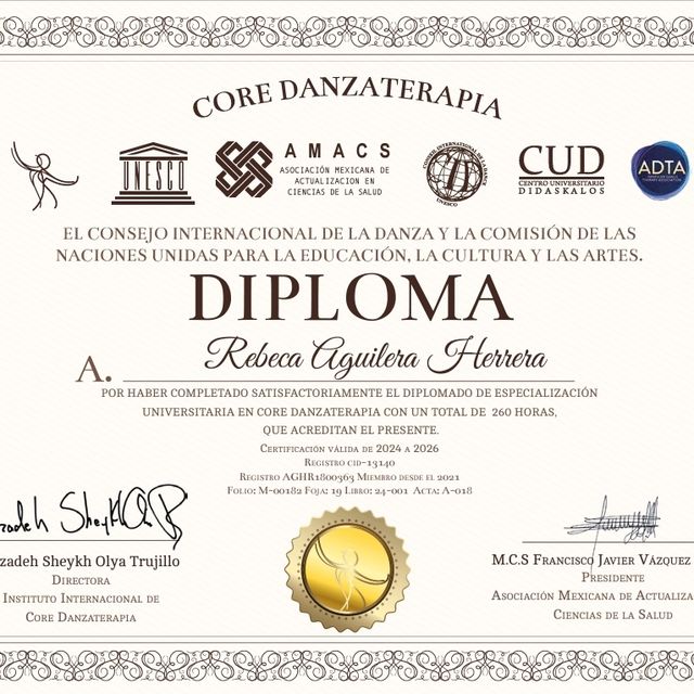 Ampliar imagen: certificate 4