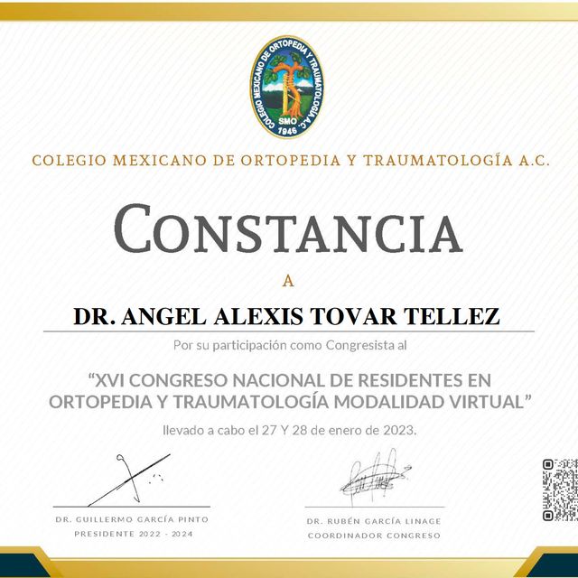 Ampliar imagen: certificate 8