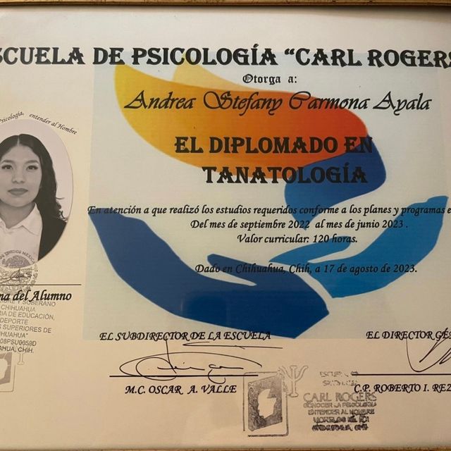Ampliar imagen: certificate 7