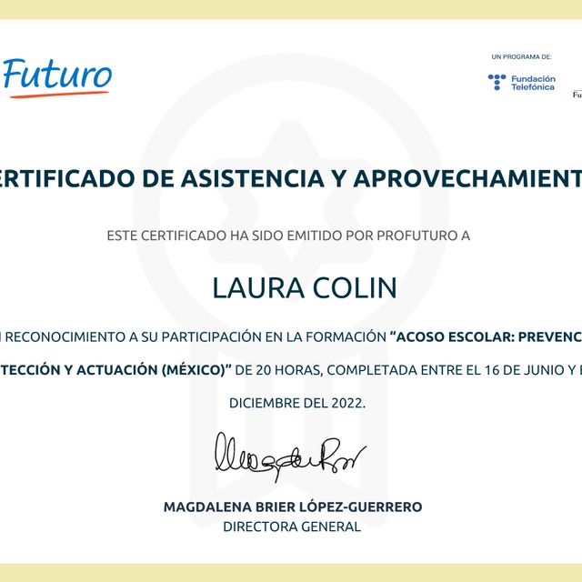 Ampliar imagen: certificate 1