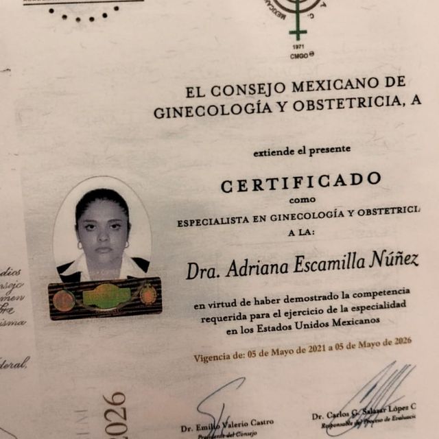 Ampliar imagen: certificate 2