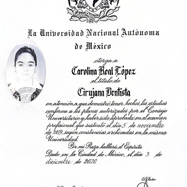 Ampliar imagen: certificate 6