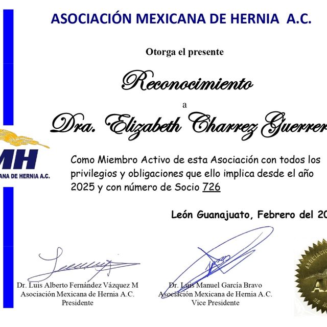 Ampliar imagen: certificate 3