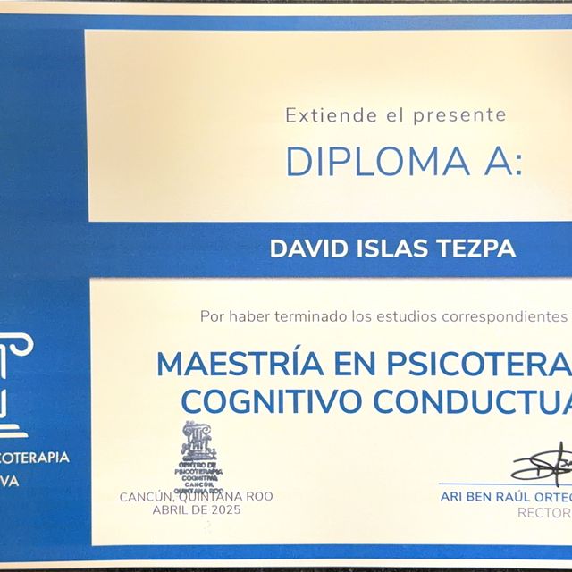 Ampliar imagen: certificate 1