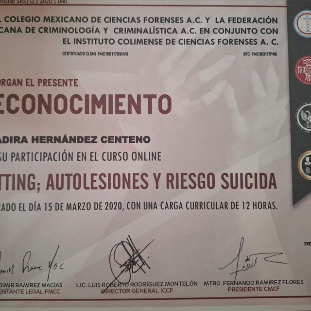 Ampliar imagen: certificate 5