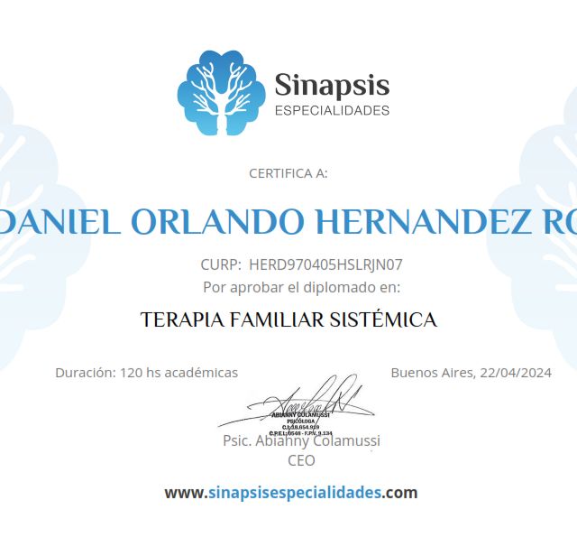 Ampliar imagen: certificate 7