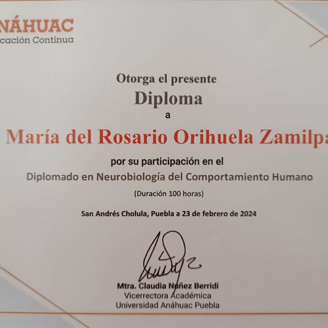 Ampliar imagen: certificate 4