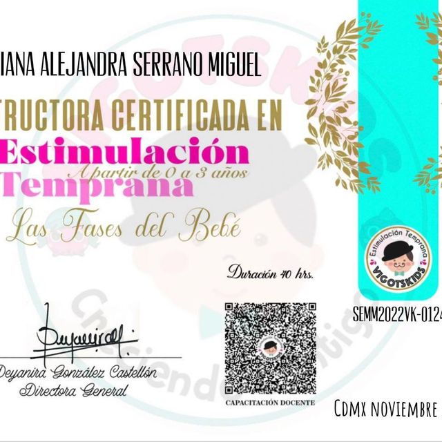 Ampliar imagen: certificate 1