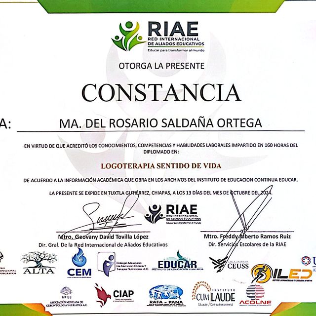Ampliar imagen: certificate 9