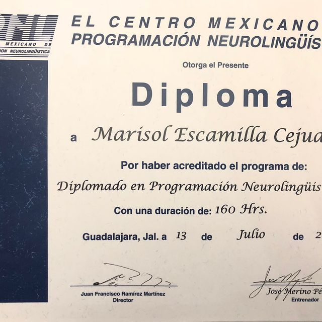 Ampliar imagen: certificate 5