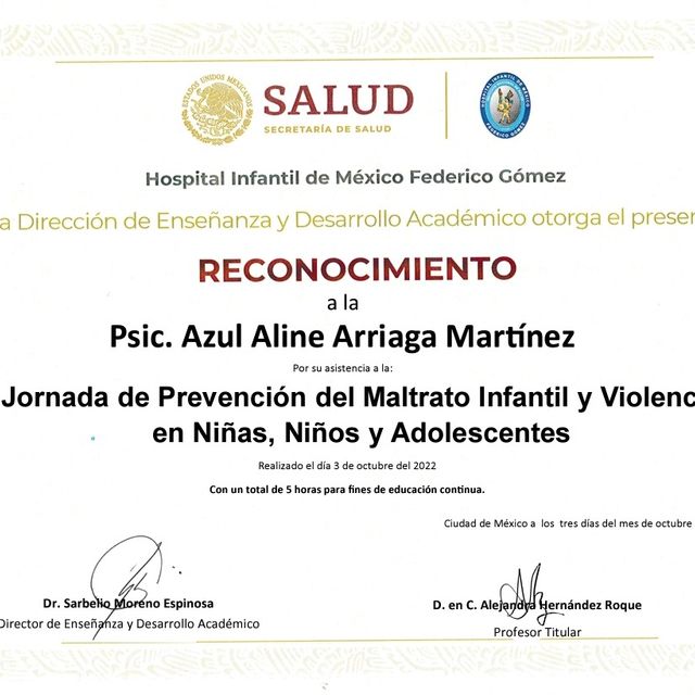 Ampliar imagen: certificate 6