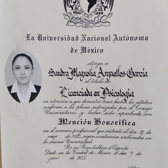 Ampliar imagen: certificate 2