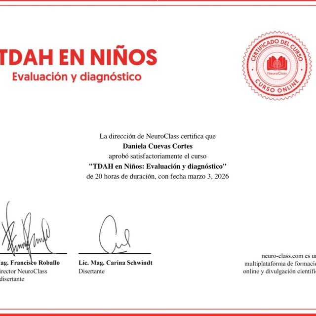 Ampliar imagen: certificate 4